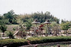 竹取公園木製遊具写真