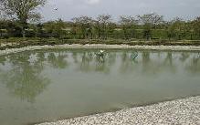 竹取公園池写真