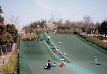 竹取公園ちびっこゲレンデ写真