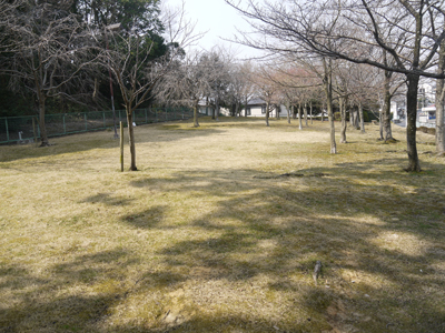 一時避難所　新山緑地の写真