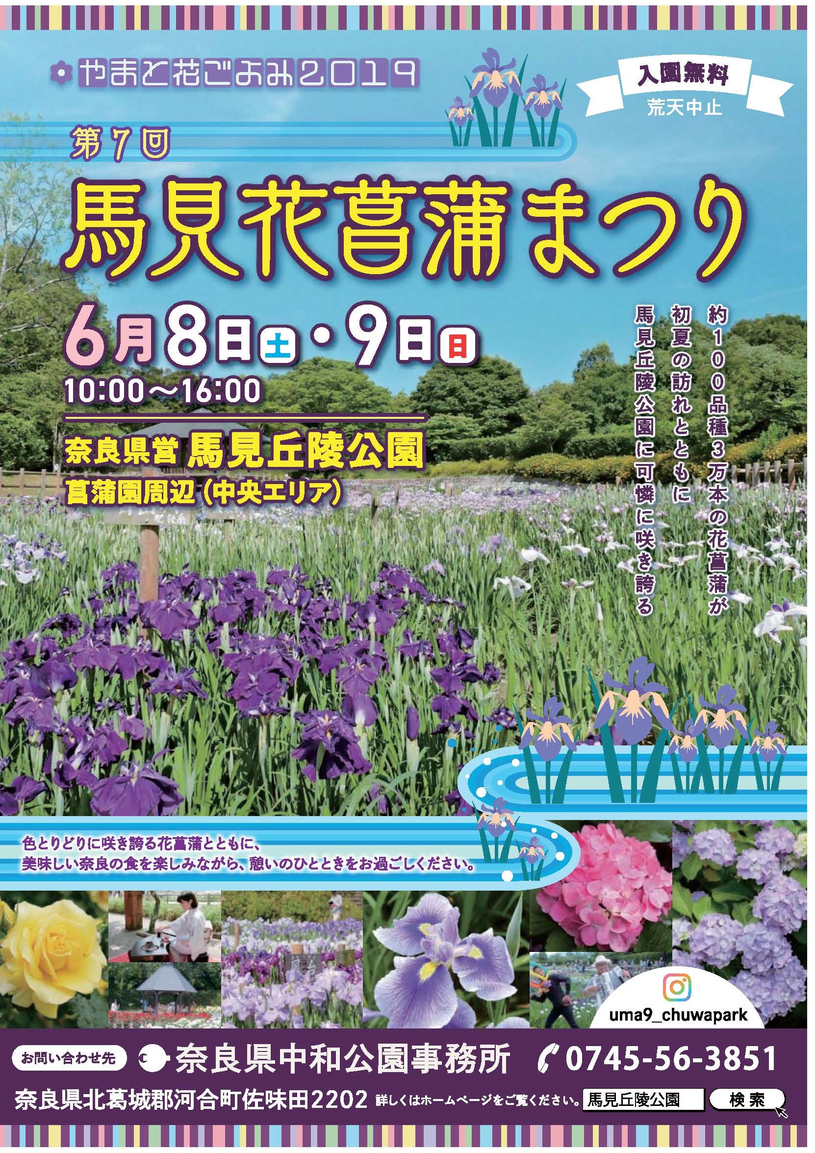 やまと花ごよみ2019 第7回馬見花菖蒲まつりのチラシ