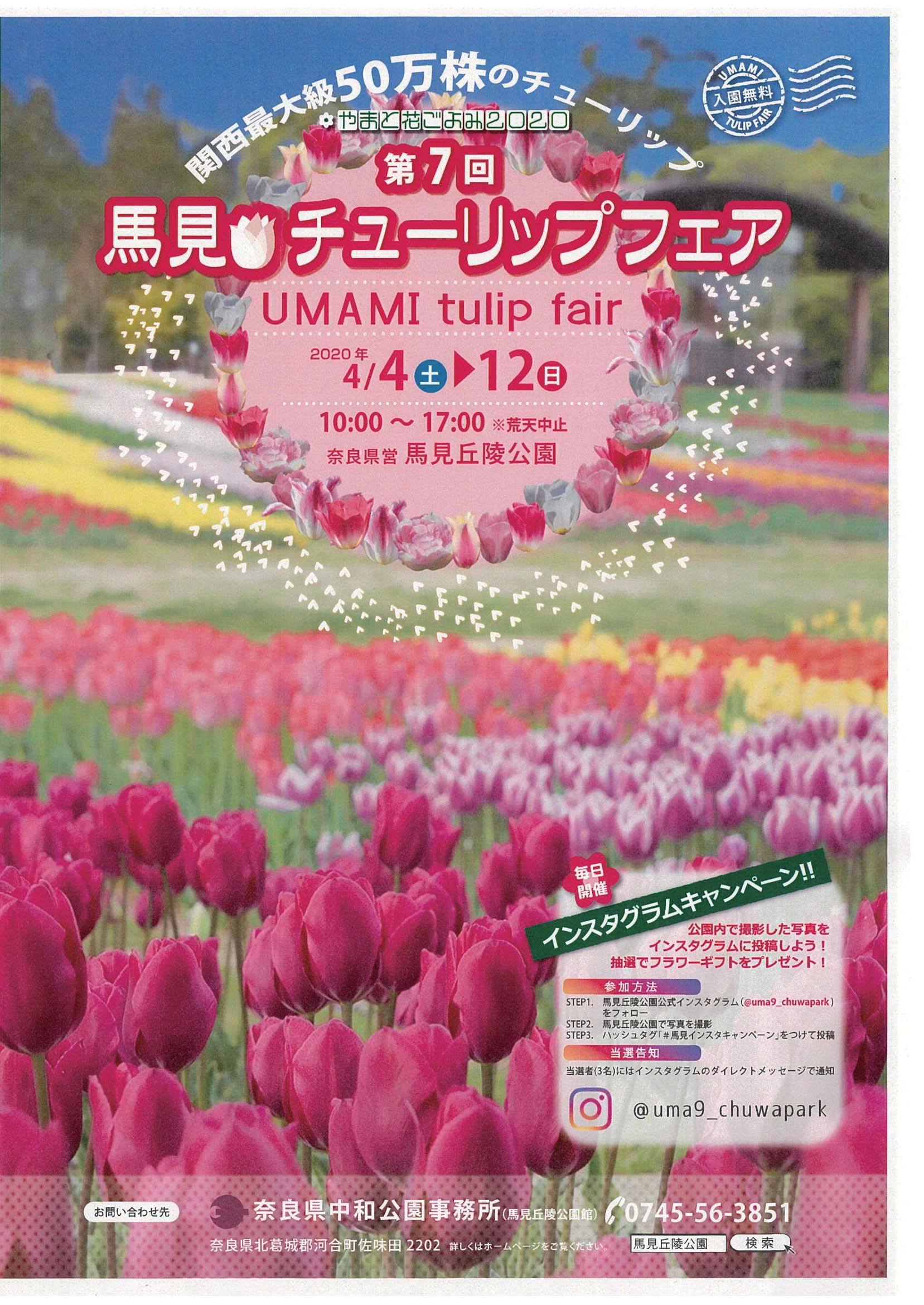 やまと花ごよみ2020「第7回馬見チューリップフェア」のチラシ