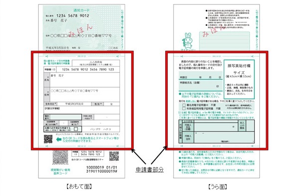 マイナンバー通知カードとマイナンバーカード申請書