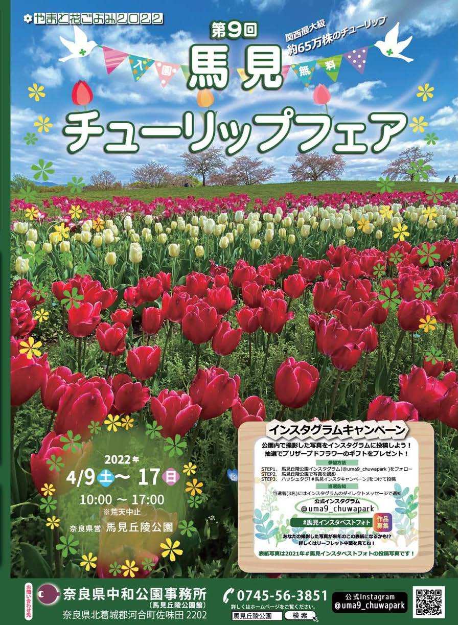 挟み込みしている第9回馬見チューリップフェアのチラシ