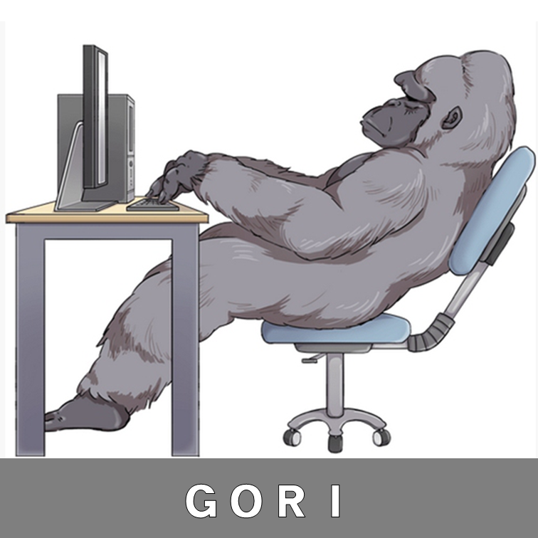 gori画像