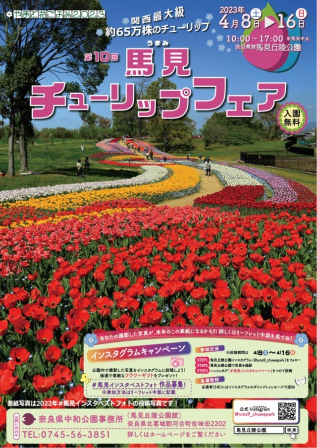 馬見チューリップフェアのチラシ