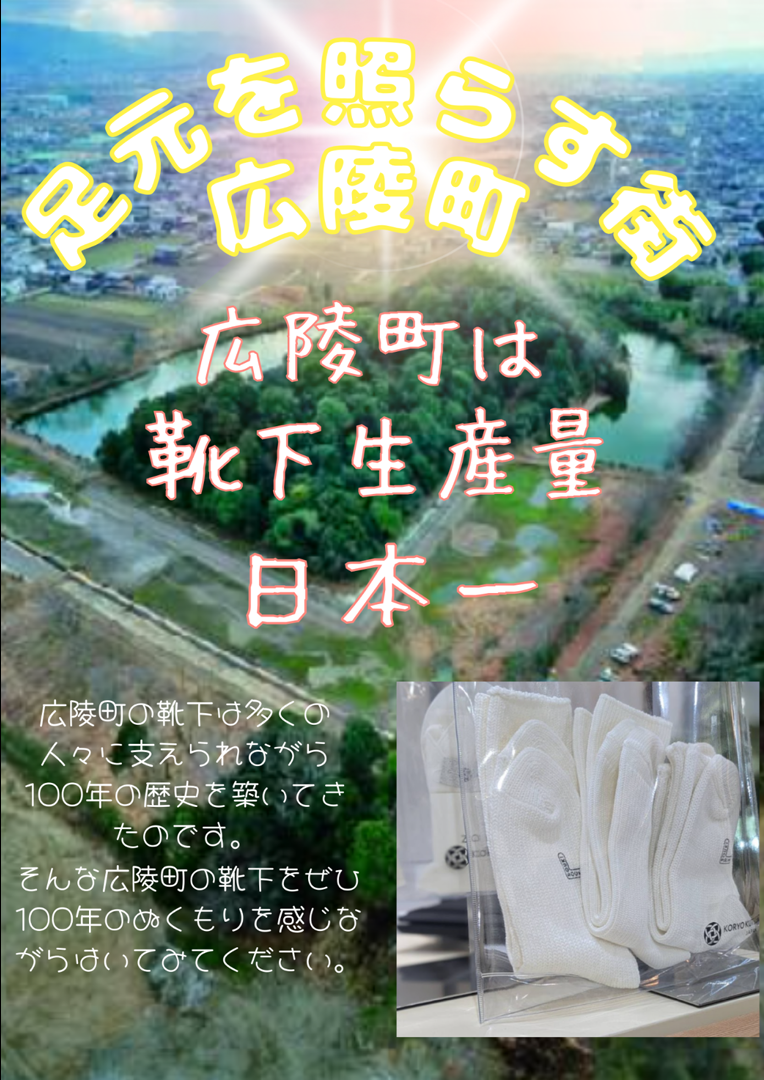 真美ケ丘第二小学校 靴下ポスター2