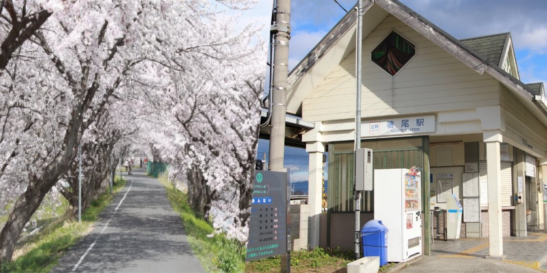 北エリアの写真
