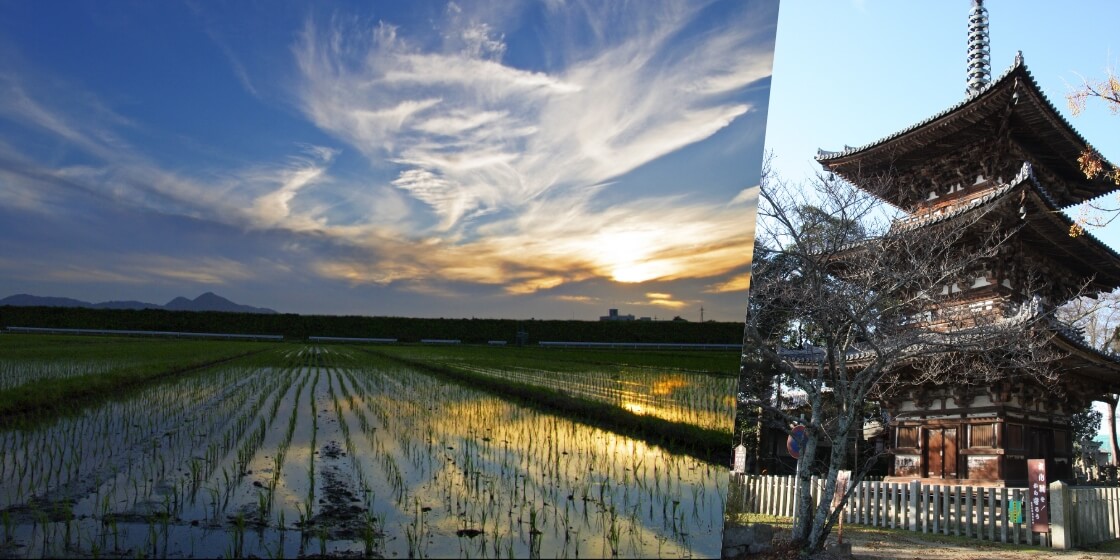 東エリアの写真