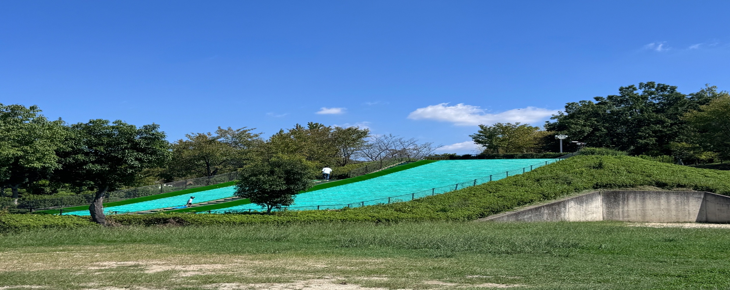 竹取公園の写真