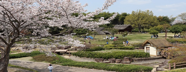 竹取公園の写真
