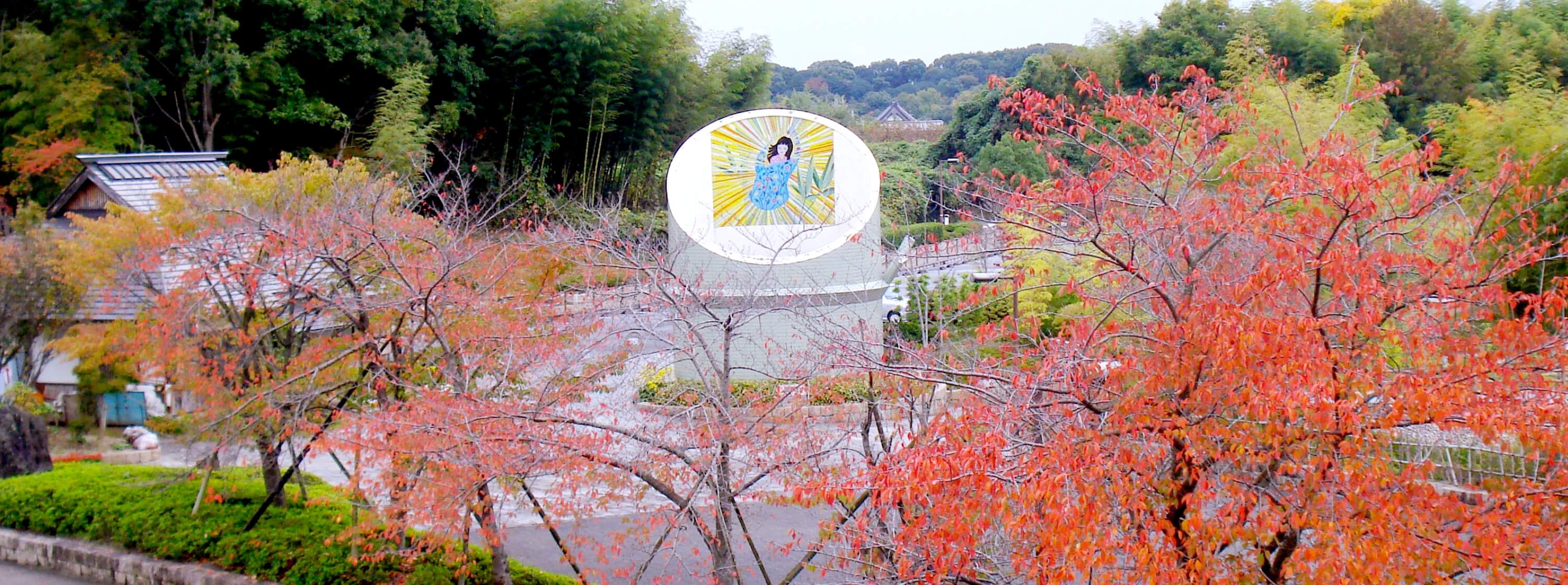 秋の竹取公園